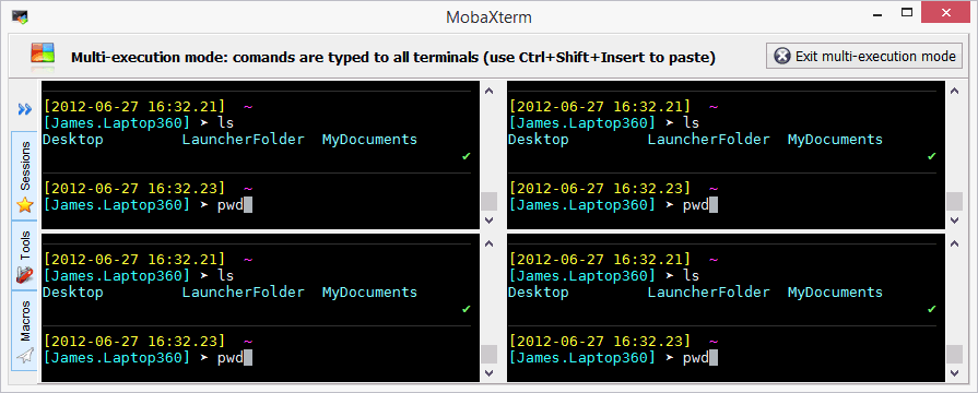 Four local terminals taking the same Multi-execution command